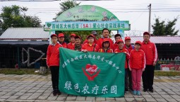 王晓丽的爱心八小时