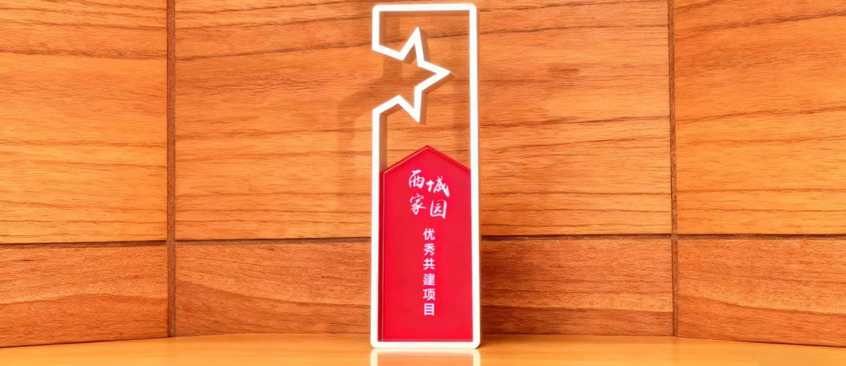 中心党支部“爱心助残行动”荣获西城家园“优秀共建项目”称号